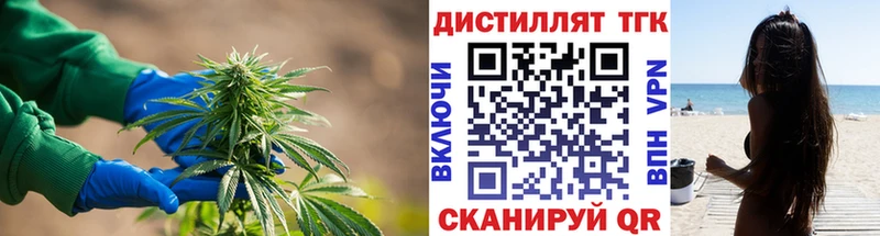 ТГК концентрат  shop как зайти  Болгар  наркота 